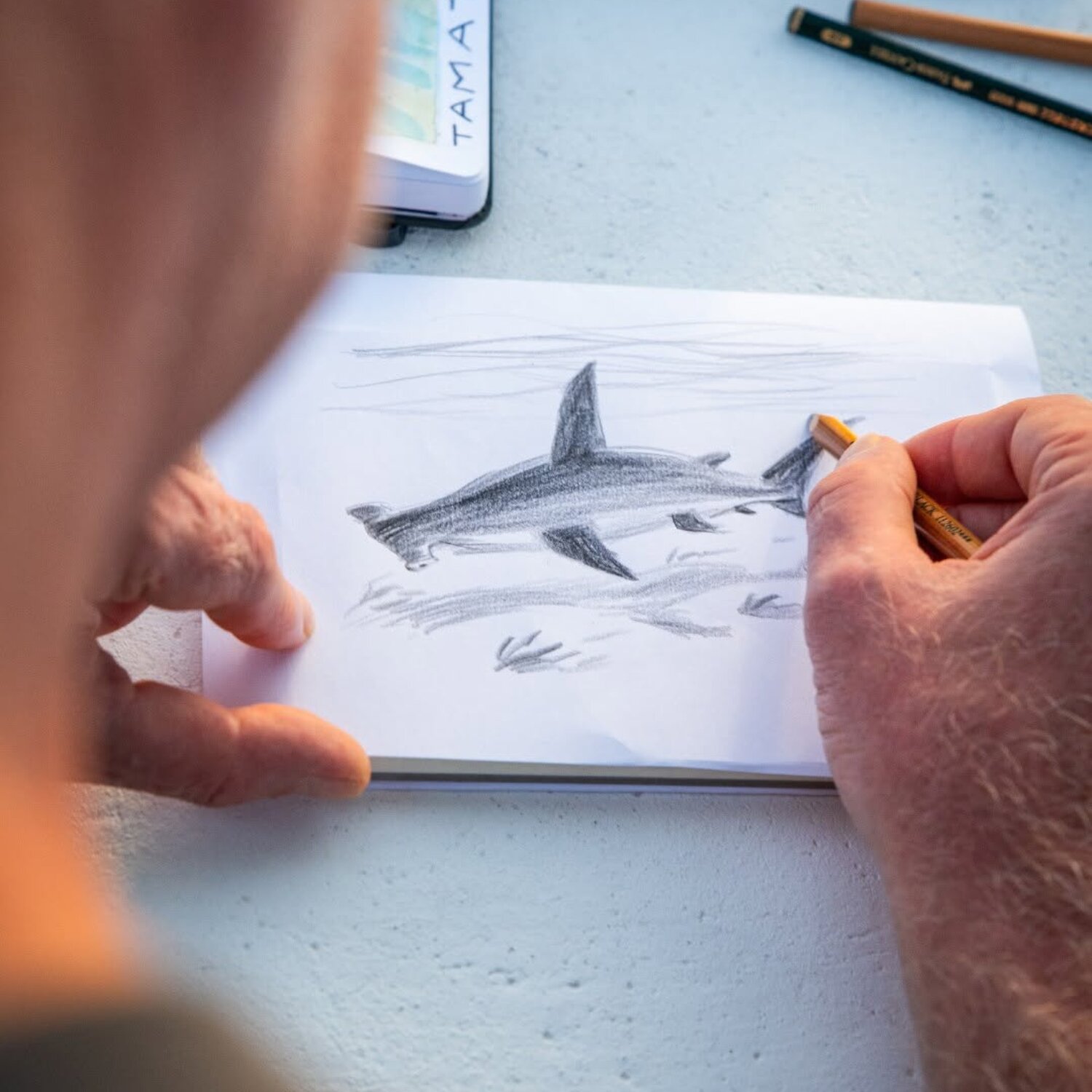 Sketch Drawing of Hammer Head Shark